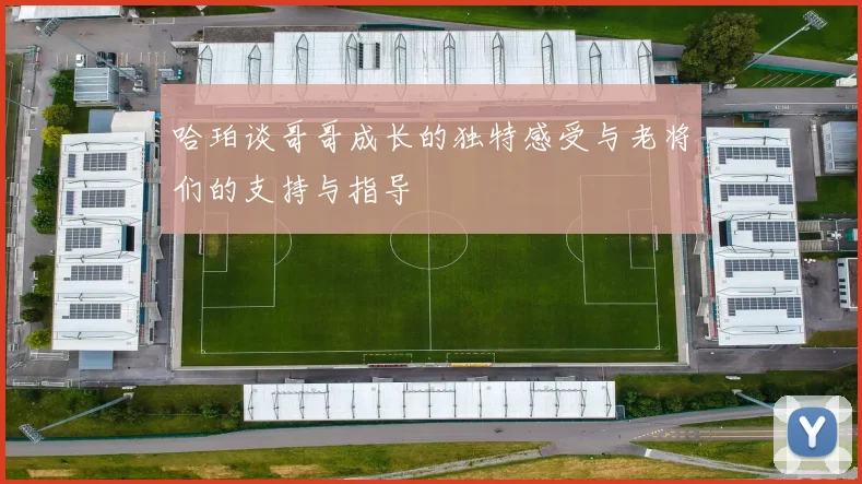 哈珀谈哥哥成长的独特感受与老将们的支持与指导