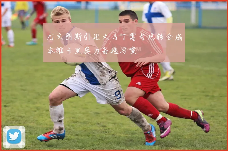 尤文图斯引进大马丁需考虑转会成本维卡里奥为备选方案
