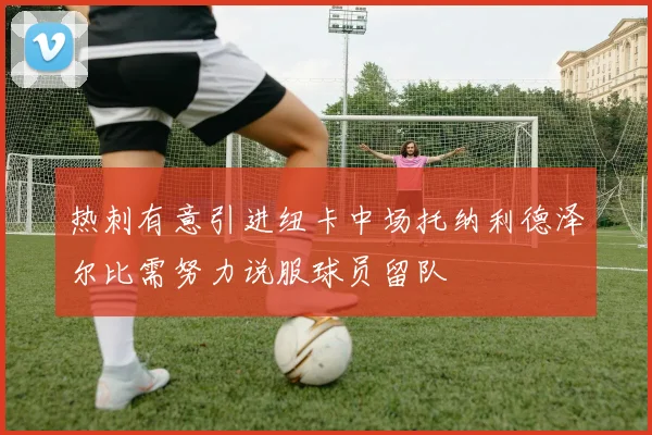 热刺有意引进纽卡中场托纳利德泽尔比需努力说服球员留队